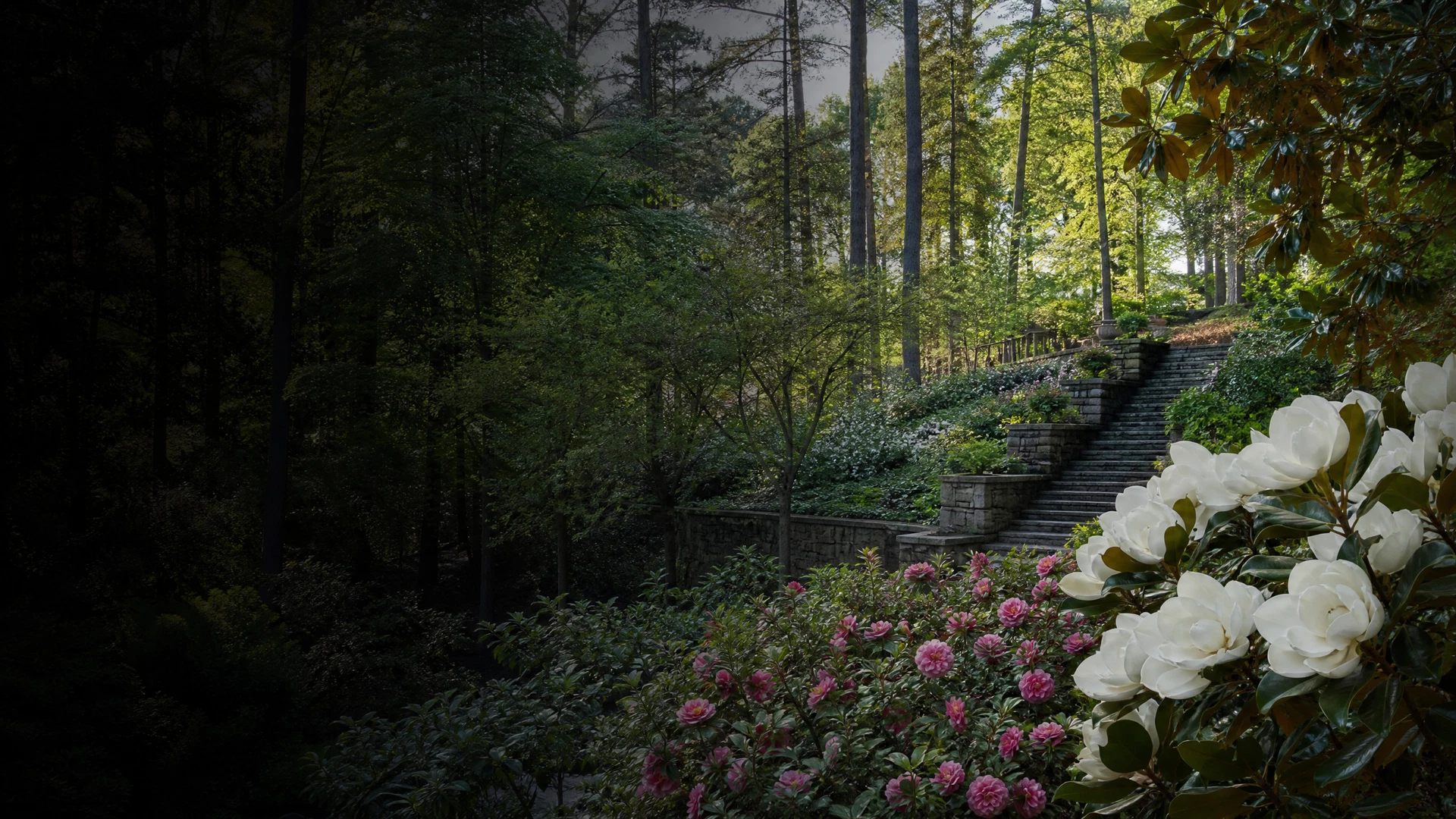 Sarah P. Duke Gardens — The Terraces