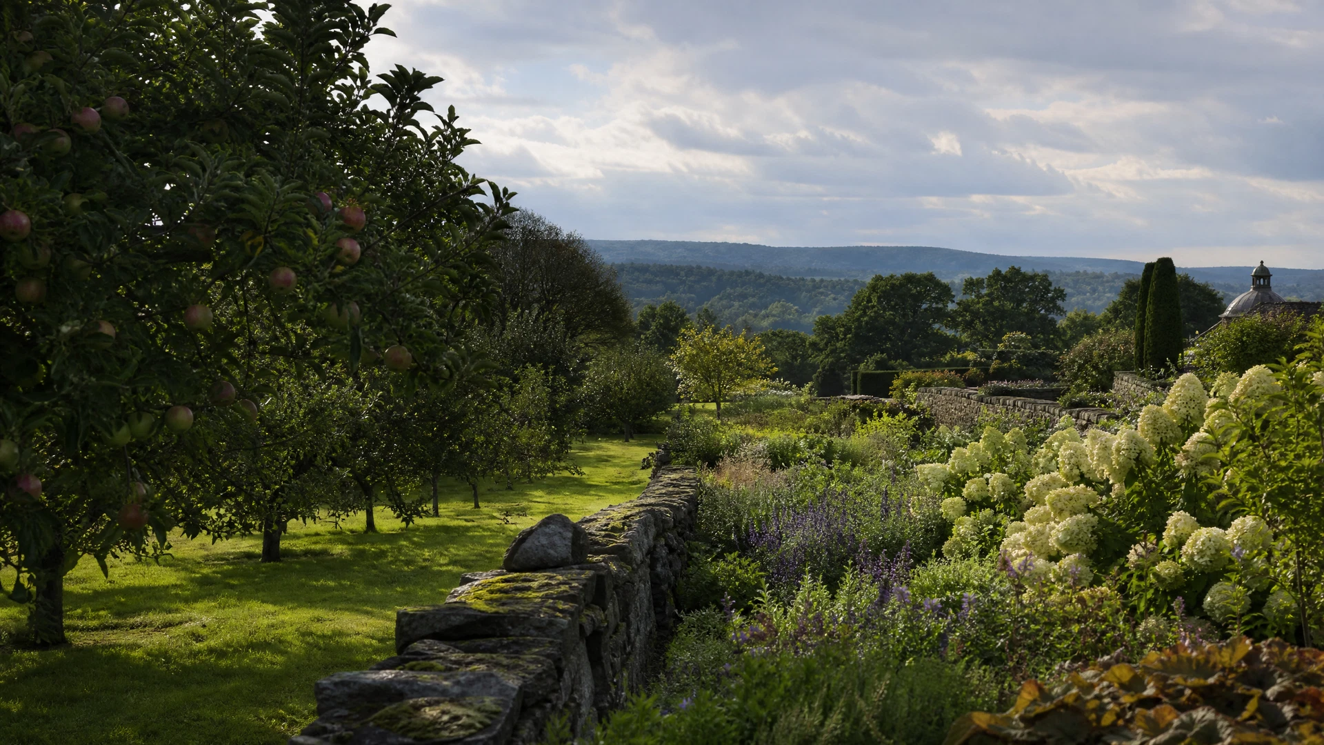 Tower Hill Botanic Garden — Frank L. Harrington Sr. Apple Orchard