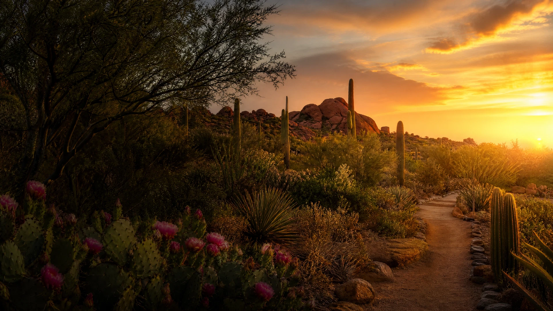 Desert Botanical Garden — Desert Discovery Loop Trail