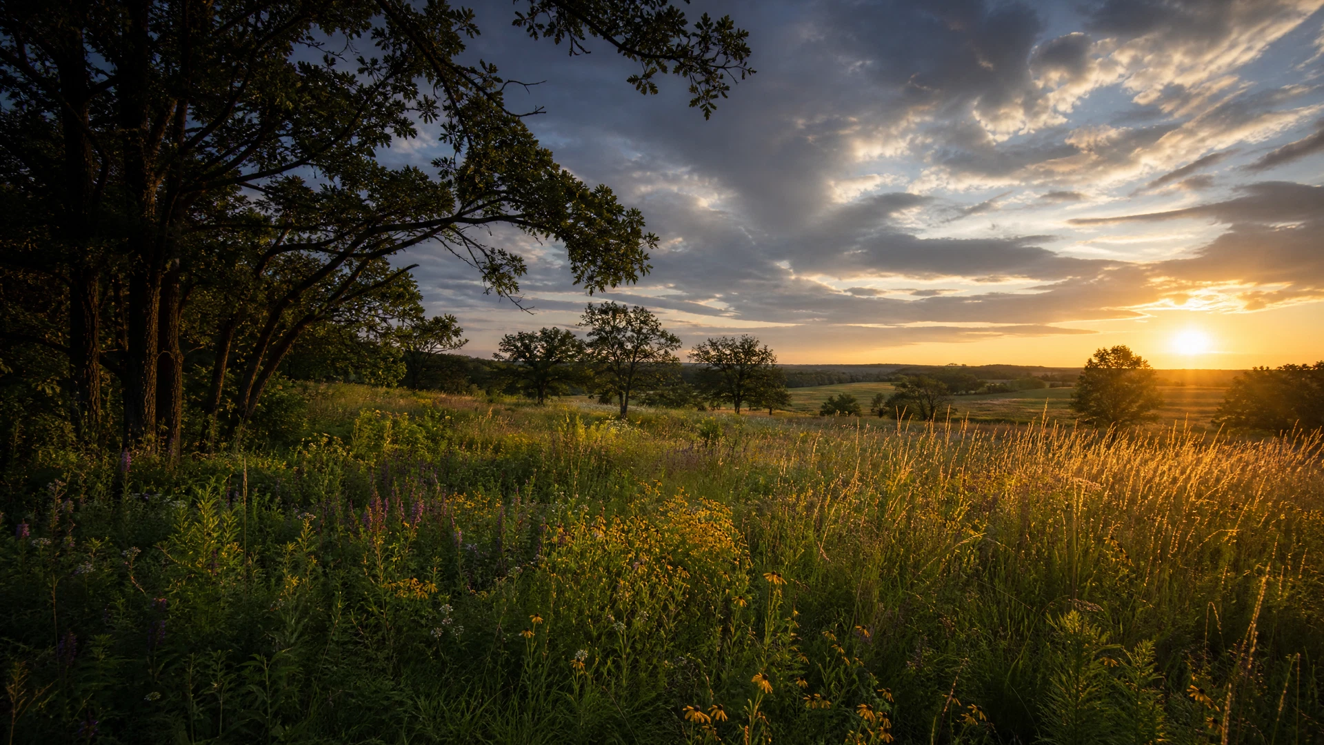 University of Wisconsin-Madison Arboretum — Curtis Prairie