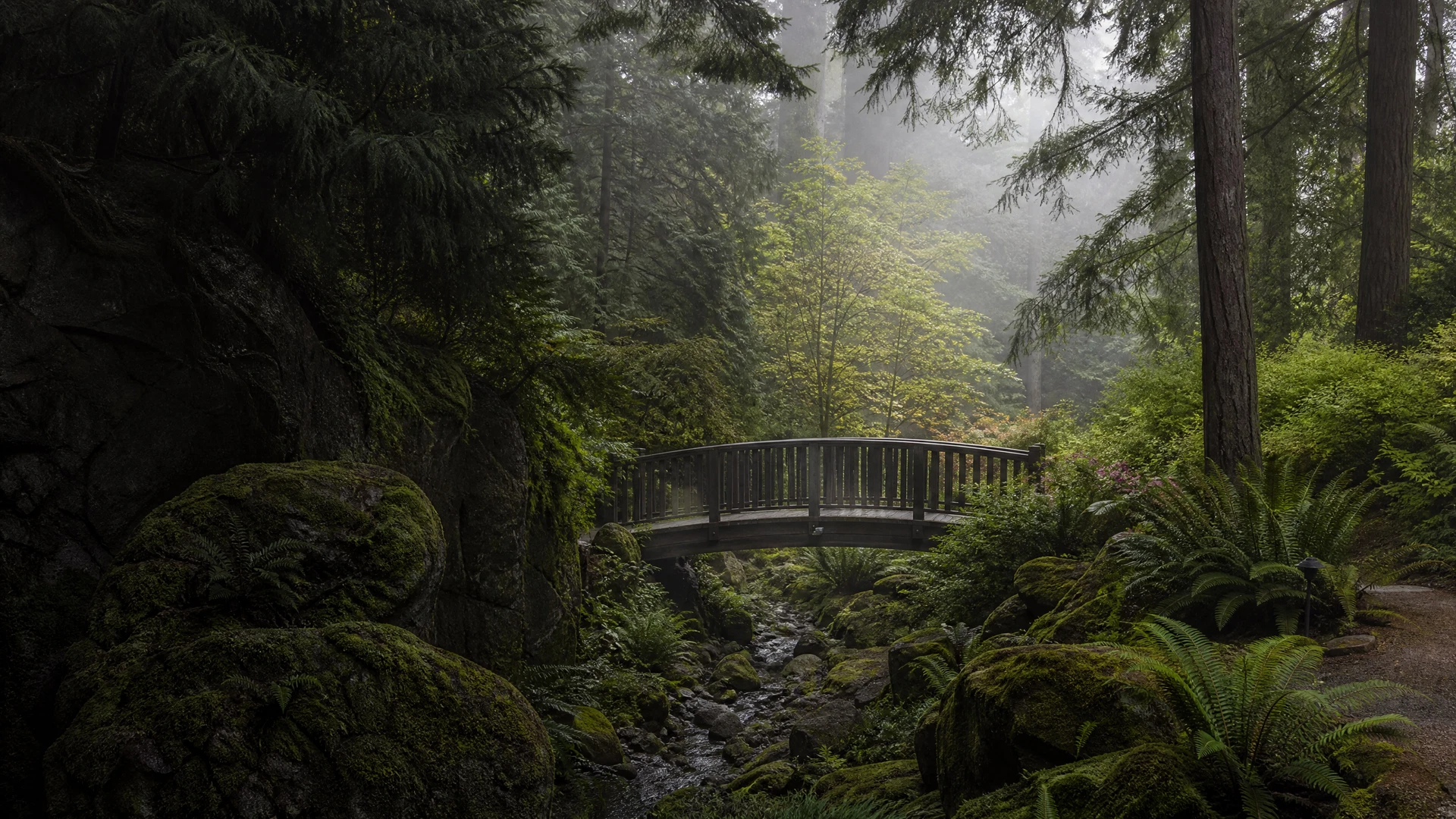 Bellevue Botanical Garden — The Ravine Experience